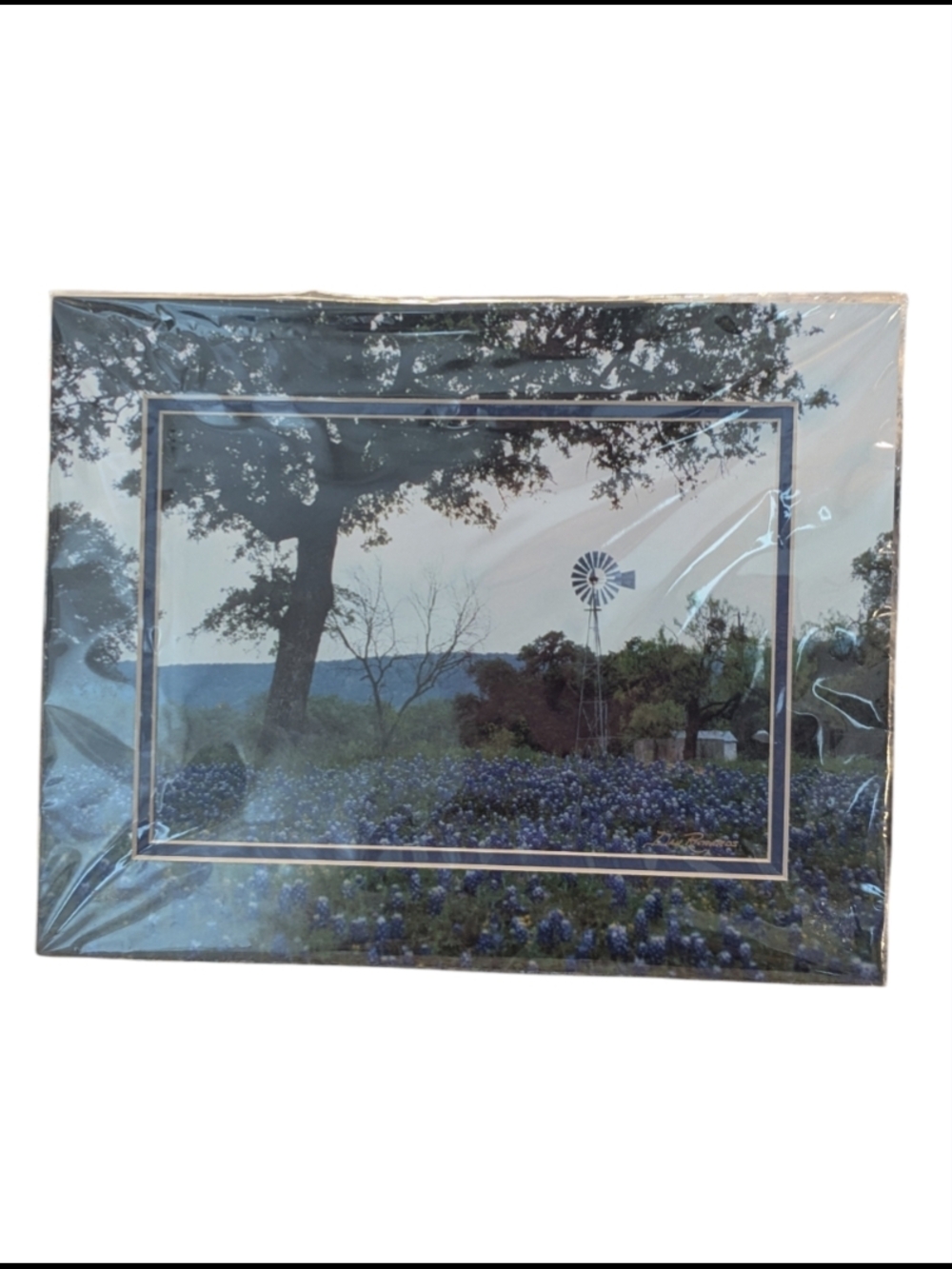 NWOT Double Matted Texas Blue Bonnets Photo Art By Dan Richards 11x14